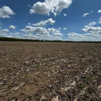 126 - acre Tillable farm located just outside the City of Baraboo images 5