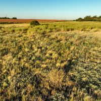 Voss CRP images 5