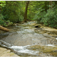 Linn Run State Park 612-acre deer hunting land in Rector, PA