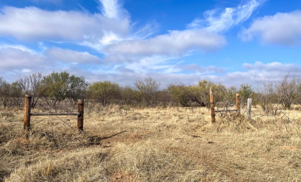Buffalo Wallow Ranch featured image