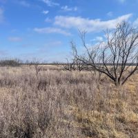 Buffalo Wallow Ranch images 4