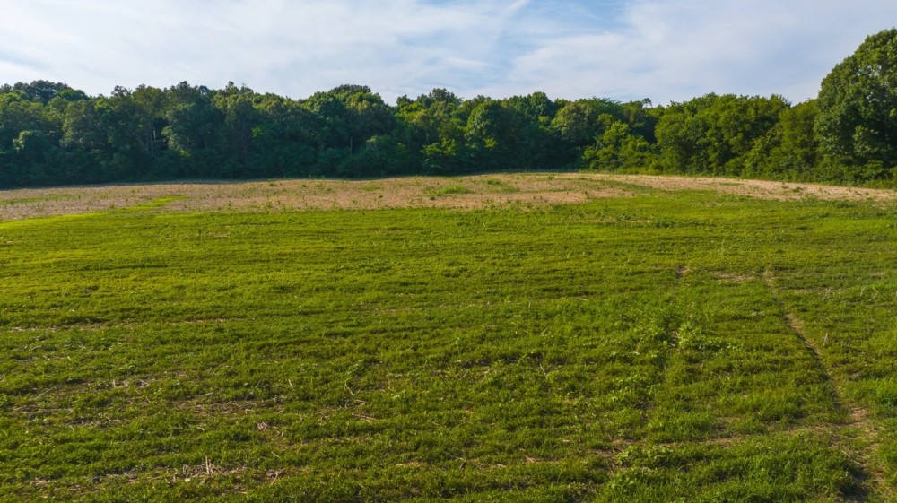 Welcome to an exceptional opportunity in the serene Midway community of Greene County featured image