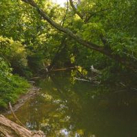 Welcome to an exceptional opportunity in the serene Midway community of Greene County images 3