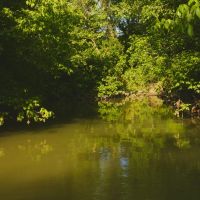 Welcome to an exceptional opportunity in the serene Midway community of Greene County images 5