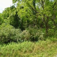 Westmoreland County Development Property images 3