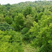 Westmoreland County Development Property images 5