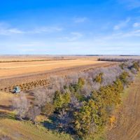The Ultimate Pheasant Hunt images 2