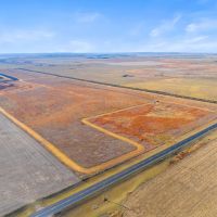 The Ultimate Pheasant Hunt images 3