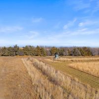 The Ultimate Pheasant Hunt images 4