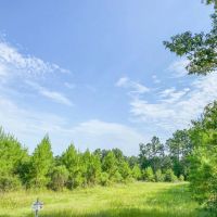 38 Acres T-6 Indian Springs images 5