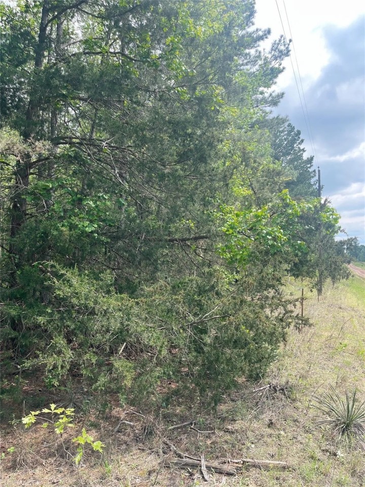 1789 County Road 323 Palestine TX 75803 featured image