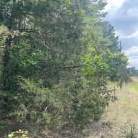 1789 County Road 323 Palestine TX 75803