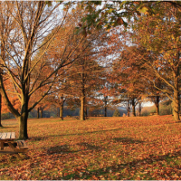 Turkey hunting land in Hunting at Moraine Park 16,725-acre Portersville, PA