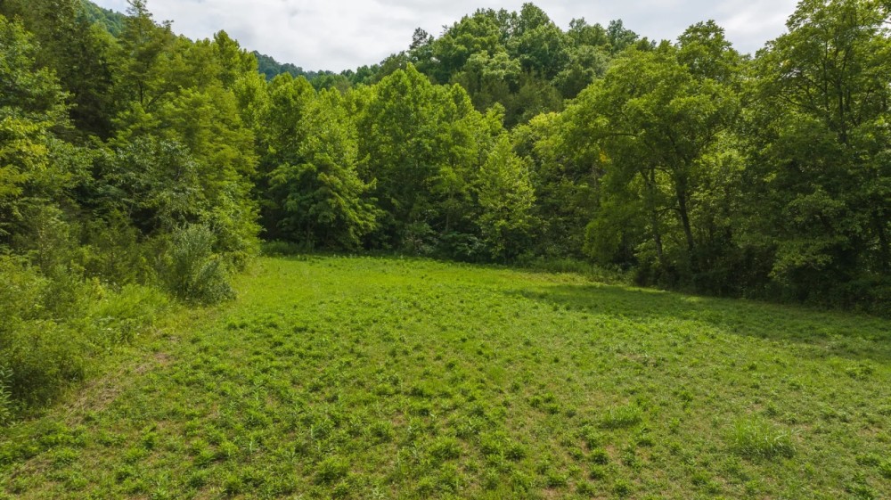 East Tennnesse Hunting Property for Sale Hawkins County featured image
