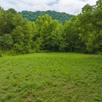 East Tennnesse Hunting Property for Sale Hawkins County images 5