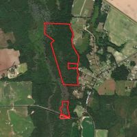 115.32 acres of Hunting and Land For Sale in Robeson County NC