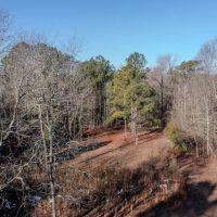 115.32 acres of Hunting and Land For Sale in Robeson County NC images 3