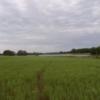 589 ACRE REACREATIONAL AND MULTI USE LAND images 4