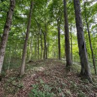 Parke County Catlin 69