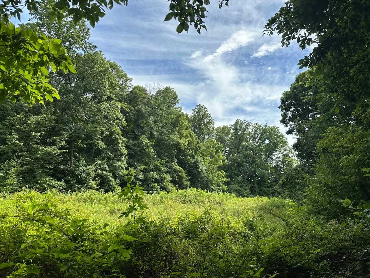 Parke County Catlin 69 Hunting Land for Sale