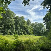 Parke County Catlin 69 images 2