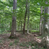 Parke County Catlin 69 images 3
