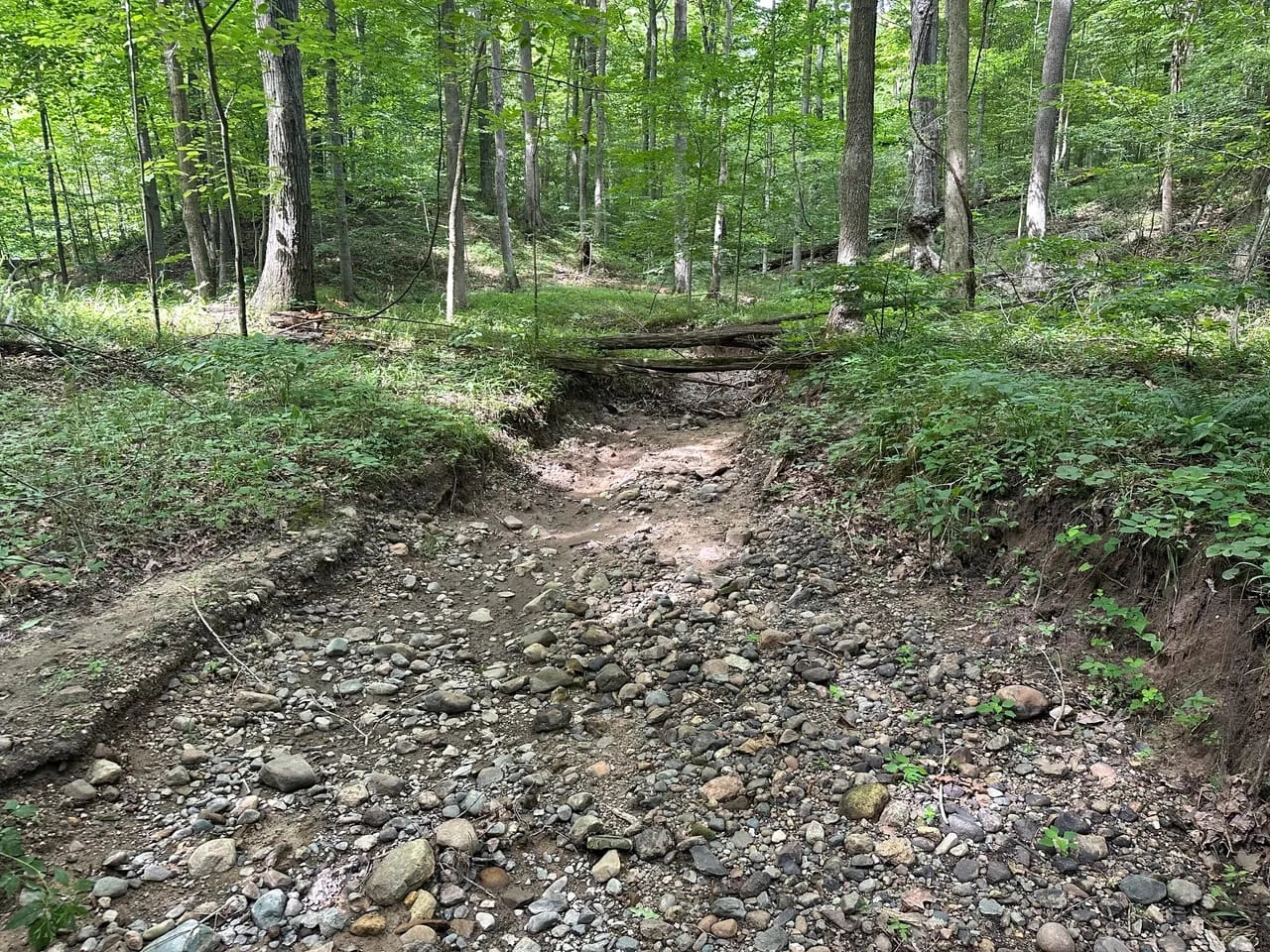 Parke County Catlin 69 Hunting Land for Sale