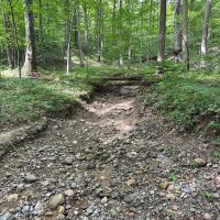Parke County Catlin 69 images 4