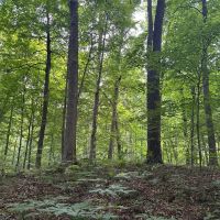 Parke County Catlin 69 images 5