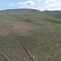 Rose Creek East images 1