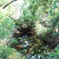 Price Improvement 111.28 - Acres Eastland County images 4