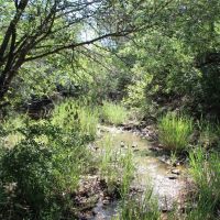 Price Improvement 111.28 - Acres Eastland County images 5
