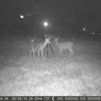 80 Acres W Beautiful Home in Pottawatomie County images 4