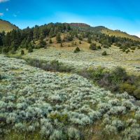 Bridger Foothills Parcel 2 images 3
