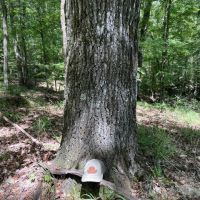 Grenada County 202 images 1
