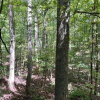Grenada County 202 images 3