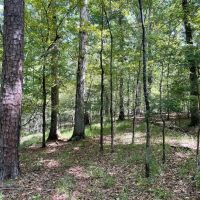 Grenada County 202 images 5