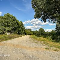 Rowan County Land for Sale with Creek and Homesite images 4