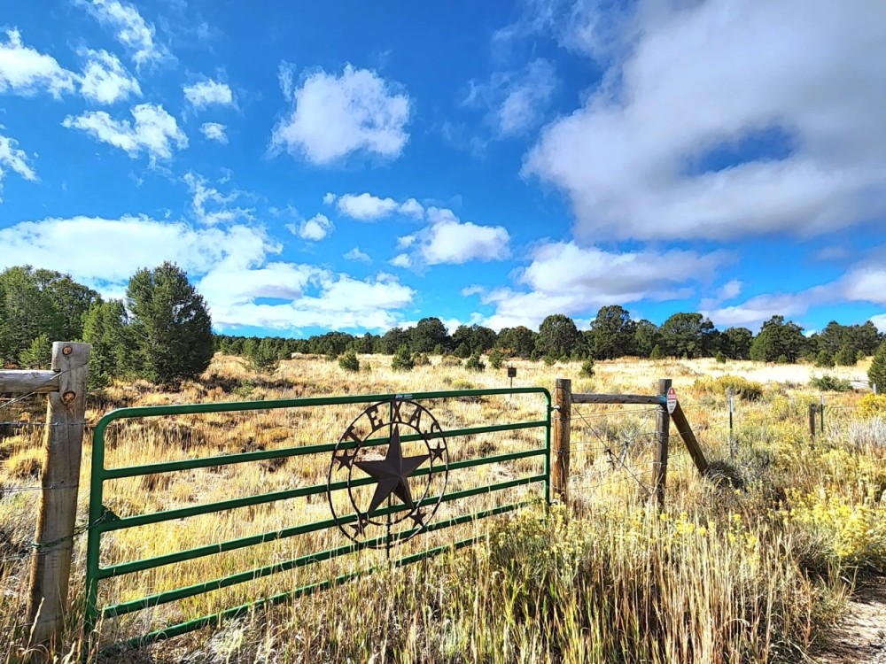 New Property - 40 Acres with Barndominium Home featured image