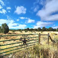 New Property - 40 Acres with Barndominium Home