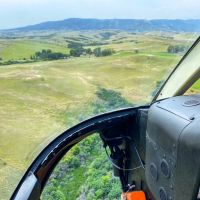 Bird Farm Ranch images 5