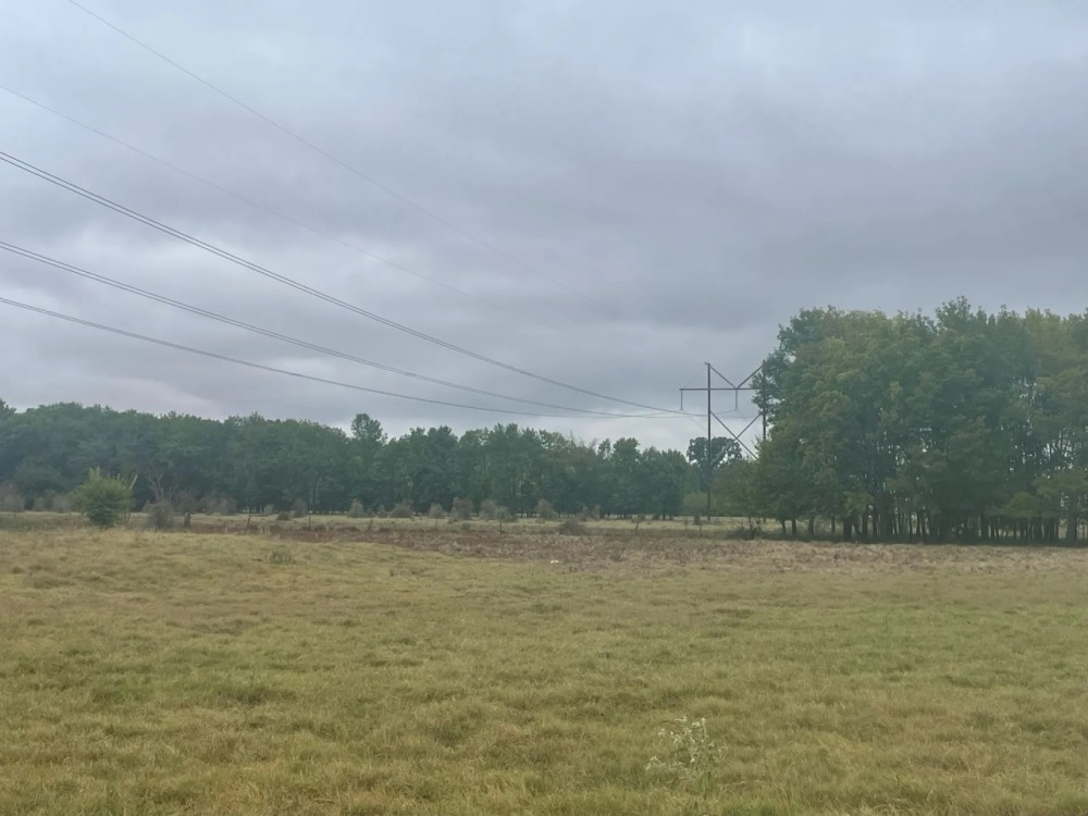 Duck Hunters Dream Ranch and Recreational Property featured image