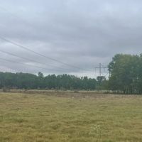 Duck Hunters Dream Ranch and Recreational Property