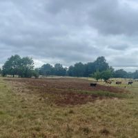 Duck Hunters Dream Ranch and Recreational Property images 3
