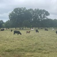 Duck Hunters Dream Ranch and Recreational Property images 4