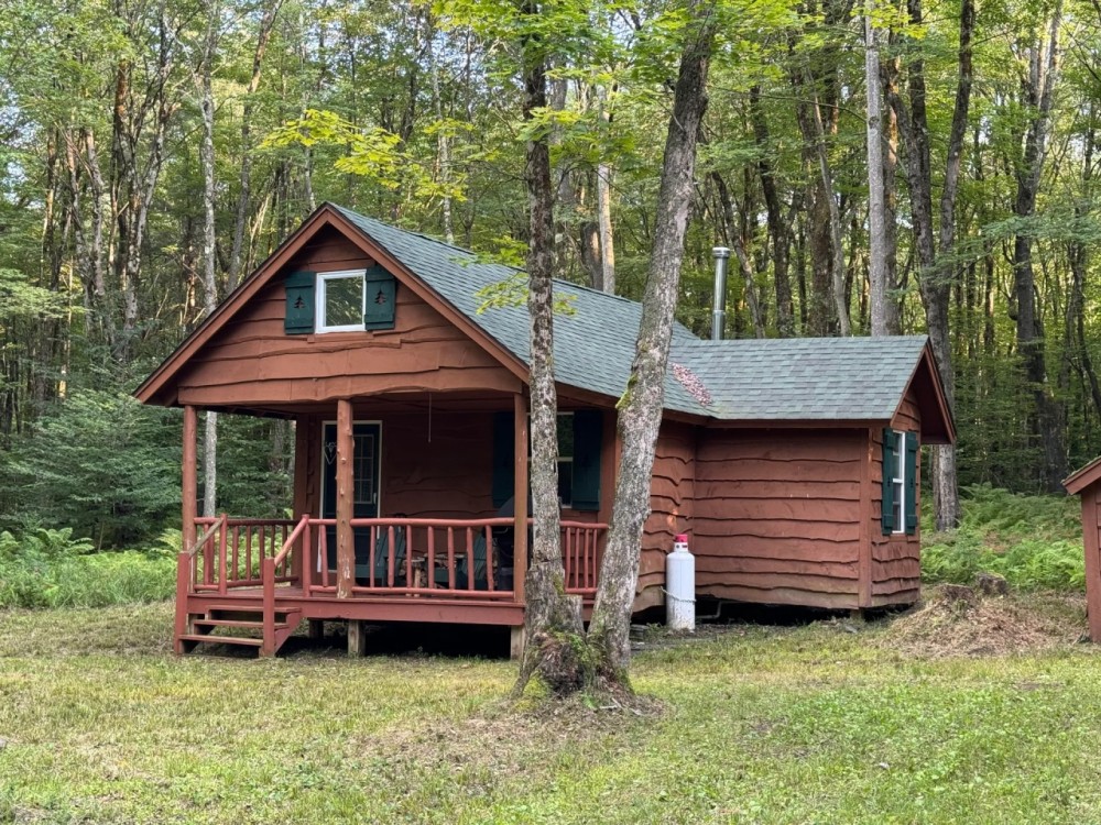 4 acres with Secluded Off Grid Cabin Florence NY featured image