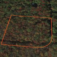 4 acres with Secluded Off Grid Cabin Florence NY images 4