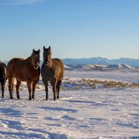 Elk Creek Ranch