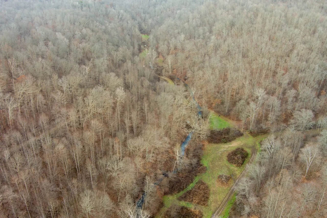 713 off Sugar Tree Branch Rd Hunting Land for Sale HuntingLocator