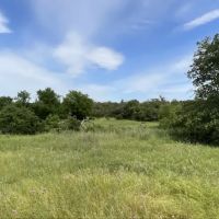 Crouch Ranch on Vista Mountain images 2